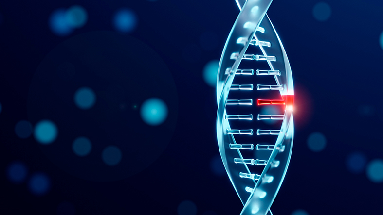اگر تتراسایکلین را حذف یا دوز آن را کاهش دهید، RNA اصلاحشده تولید پروتئین درمانی را متوقف میکند یا کمتر از آن تولید میکند.